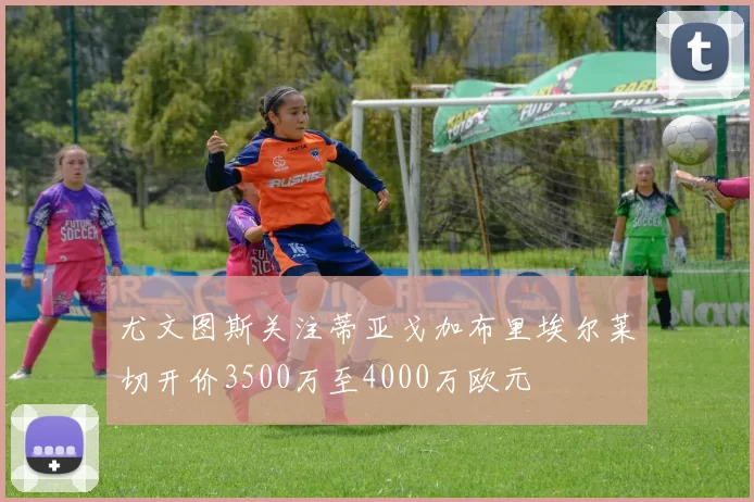 尤文图斯关注蒂亚戈加布里埃尔莱切开价3500万至4000万欧元
